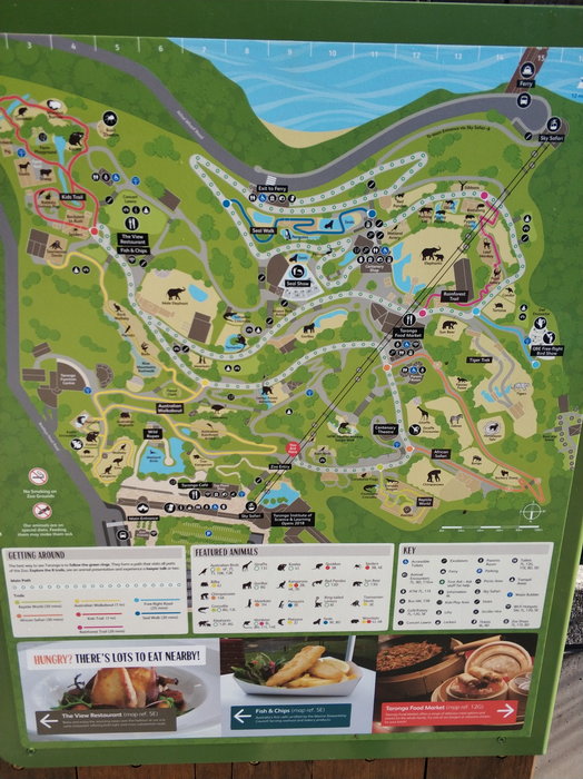 Taronga Zoo-Sage Ravenfall
