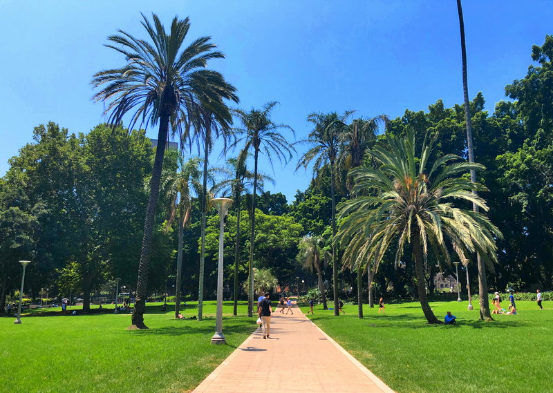Hyde Park-William Reed