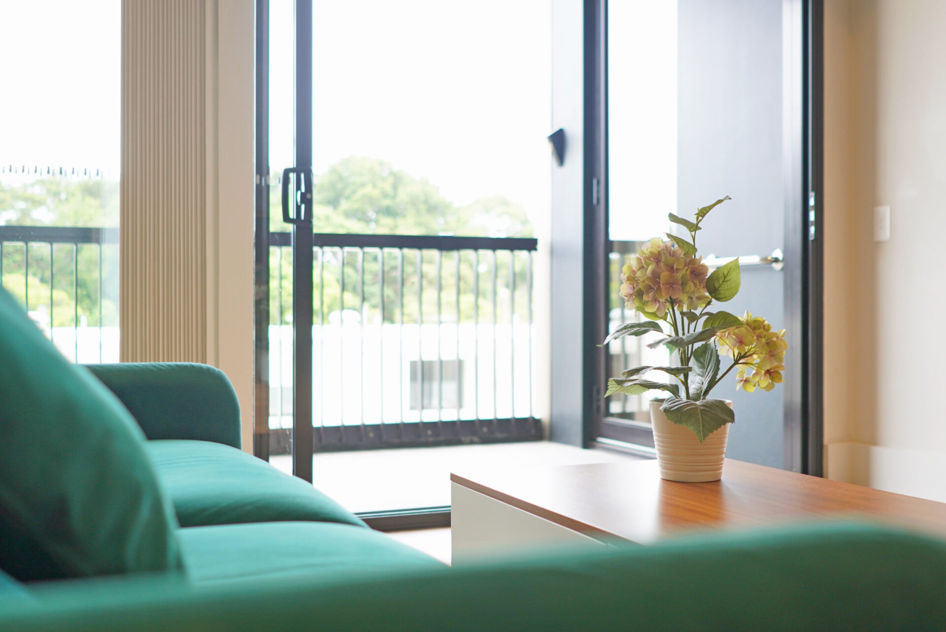 Summer Hill 2 Bedroom Sloane St SH239-Sydney short term rentals