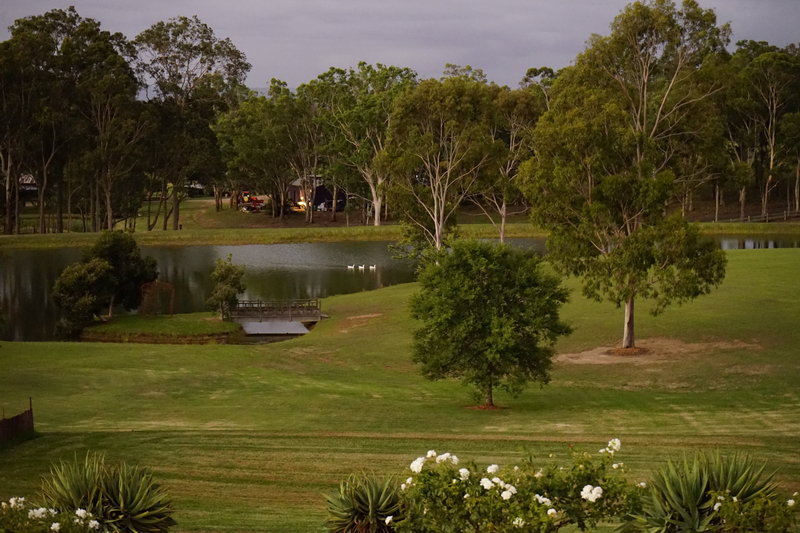 Hunter Valley-Lotus Fitzgerald