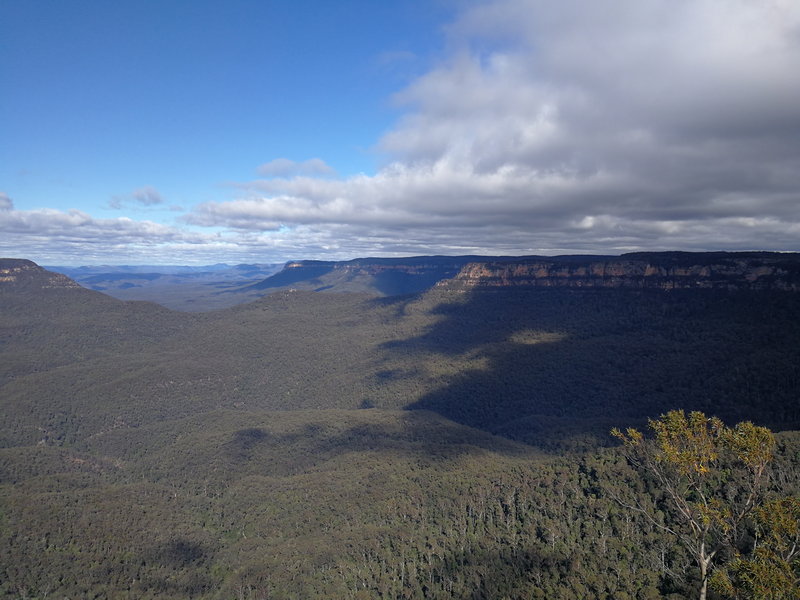 Blue Mountains-Emma Wilson