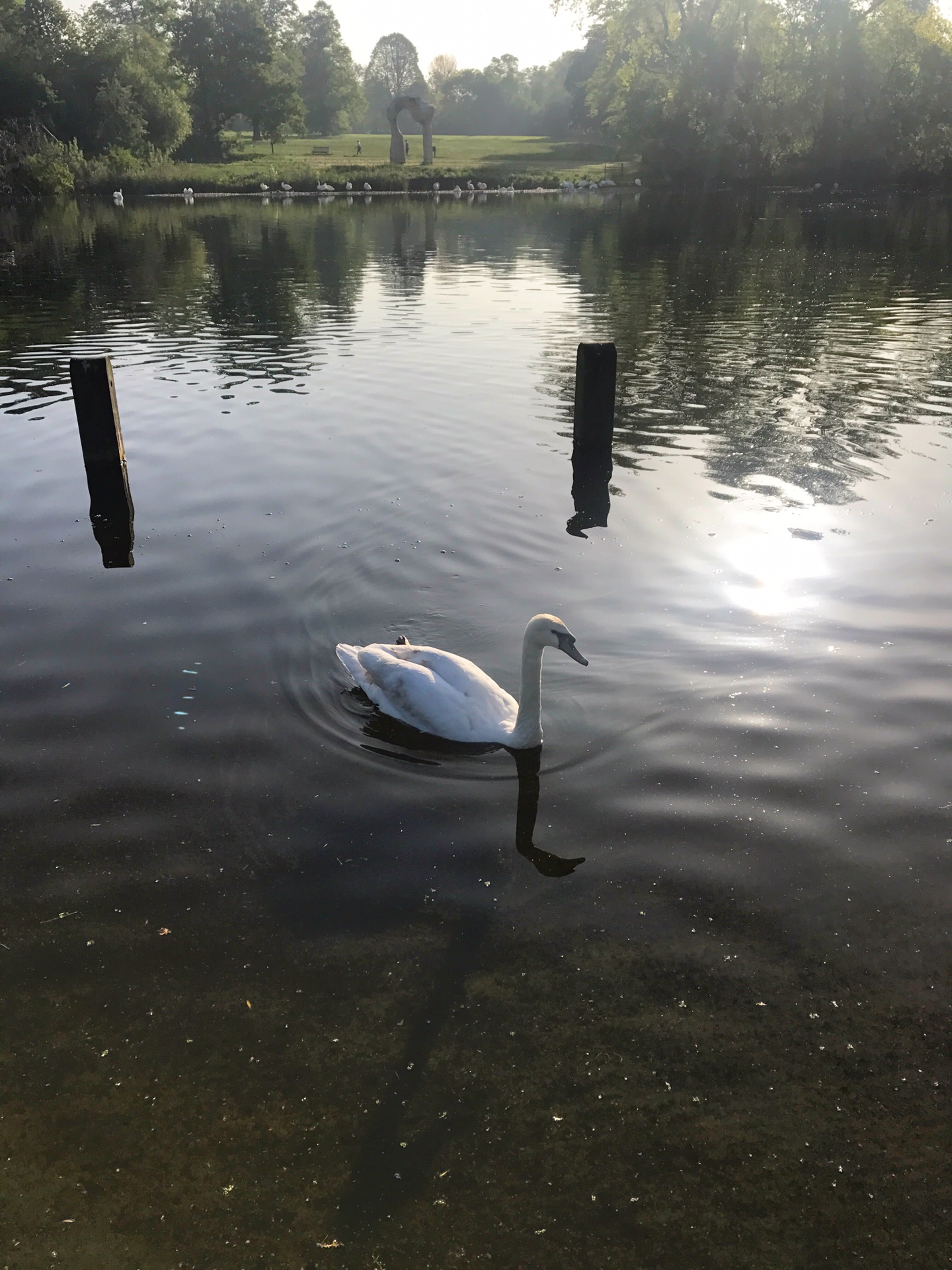 Hyde Park-Daniel Taylor