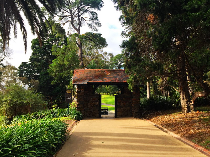 Royal Botanic Garden-Maxwell Jenkins