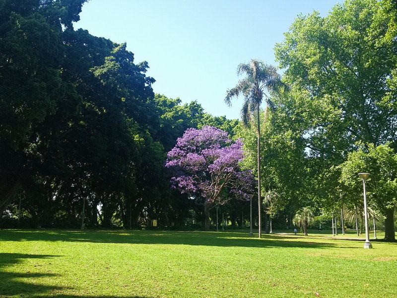 Hyde Park-Ava Thompson
