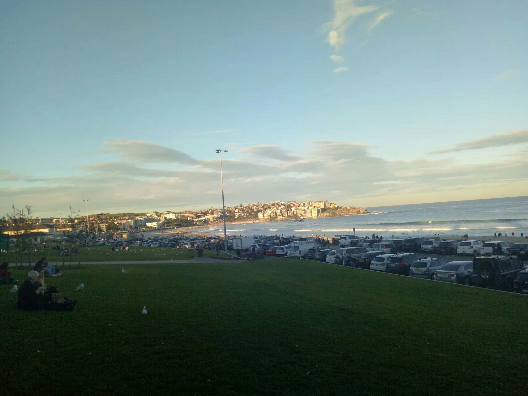 Manly Beach-Vincent Fitzgerald