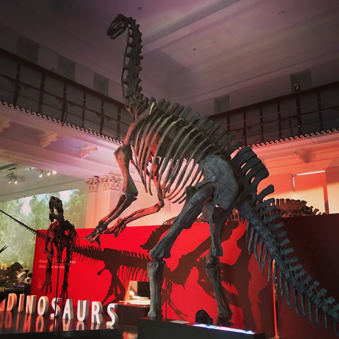 Australian Museum-Emma Edwards