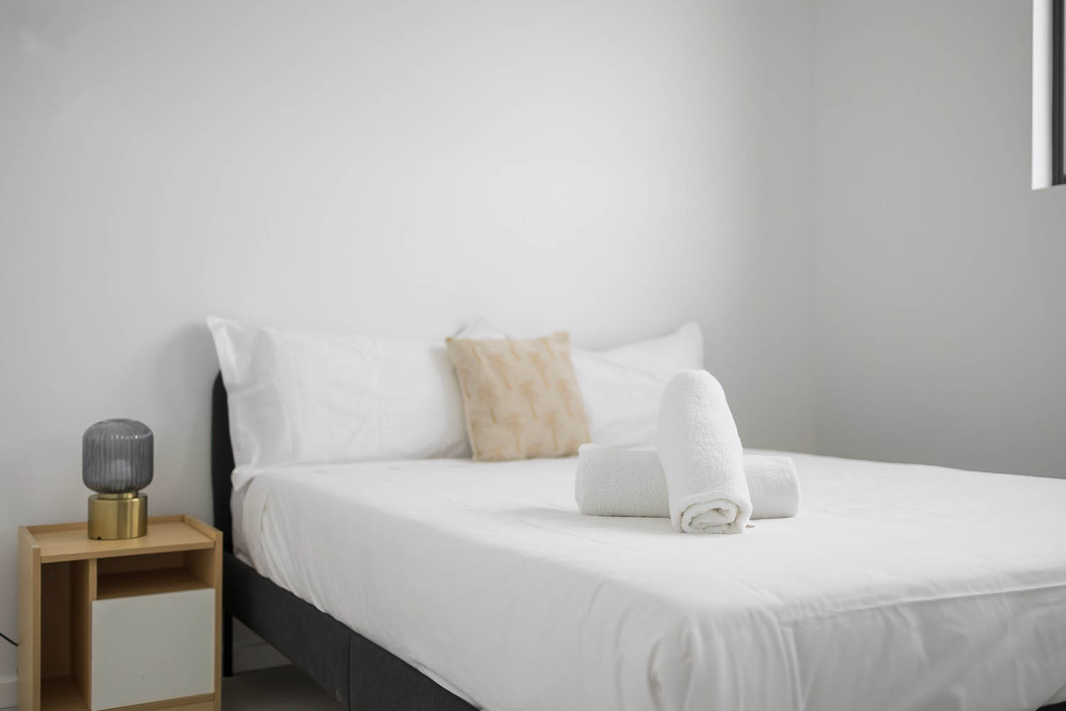 Stanmore 2 Bedroom Salisbury Road STAN2402-Sydney short term rentals
