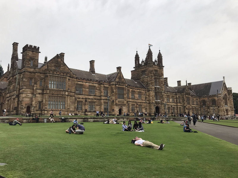 Sydney Uni-Meadow Stormcliff