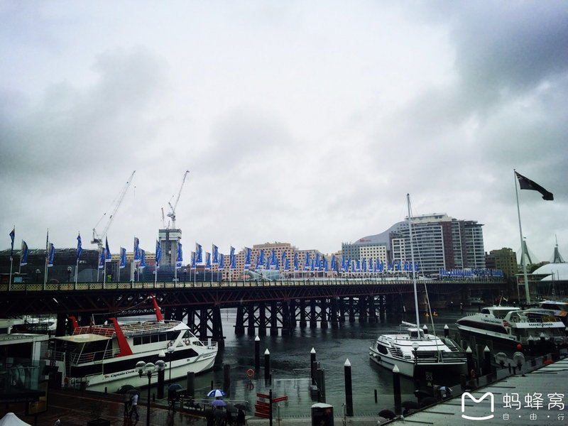 Sydney Fish Market-Austin White