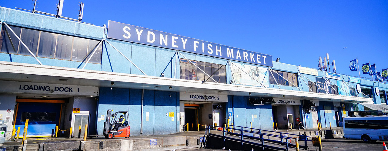 Sydney Fish Market