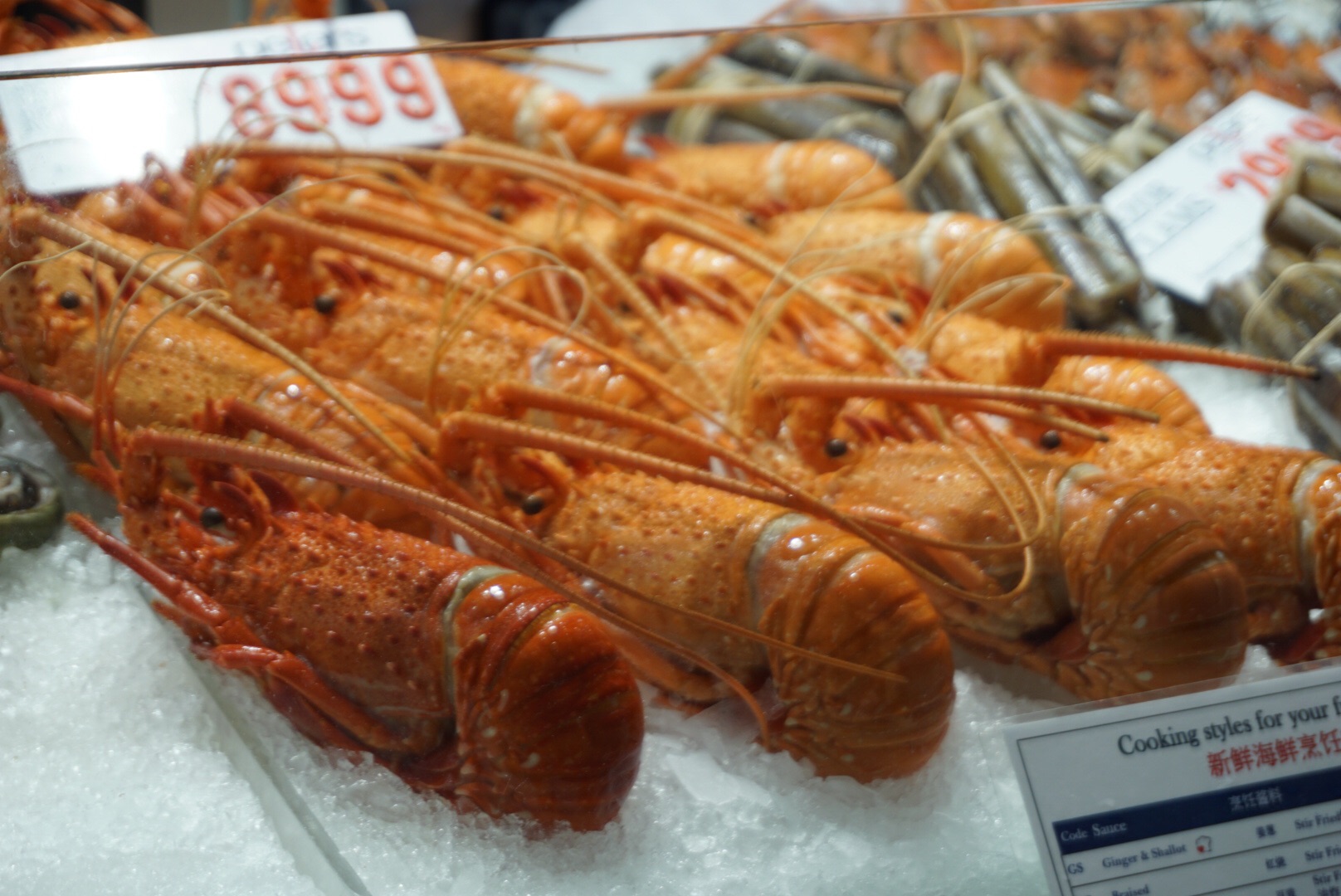 Sydney Fish Market-Maya Scott
