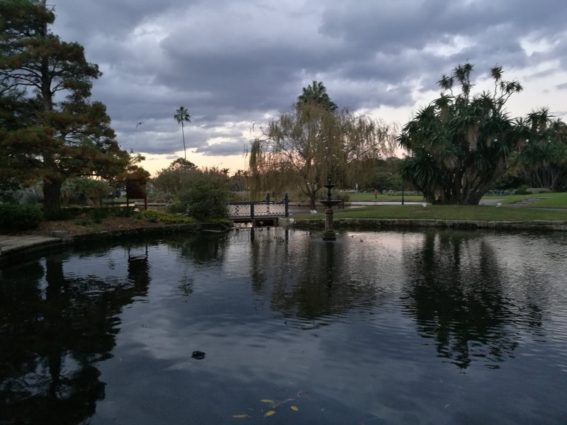 Royal Botanic Garden-Naomi Clark