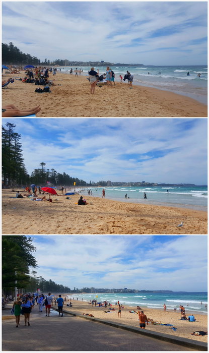 Manly Beach-Daniel Rockwell