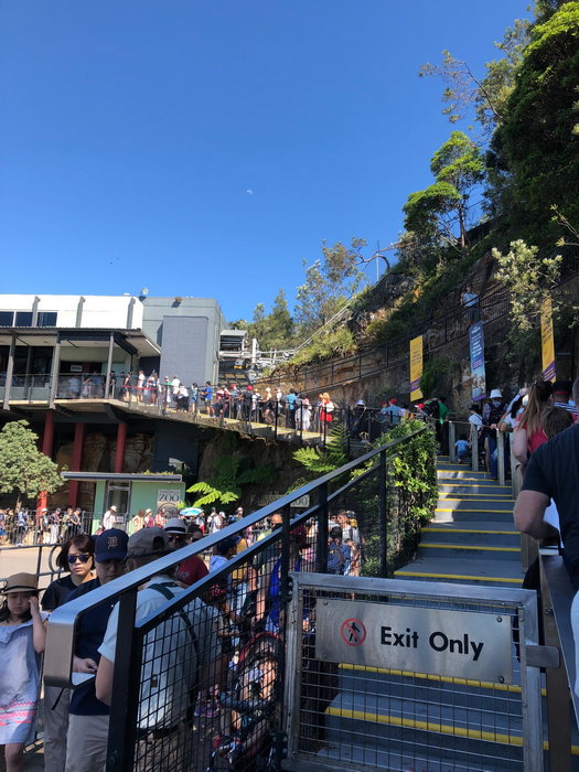 Taronga Zoo-Echo Ravenwood