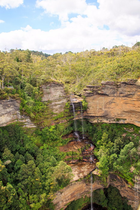 Blue Mountains-Phoenix Winters