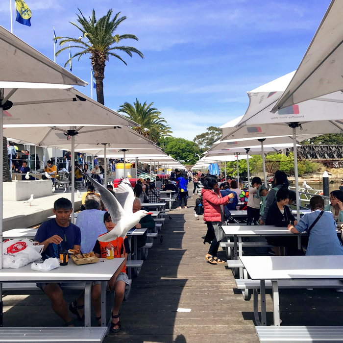 Sydney Fish Market-Chloe Brown