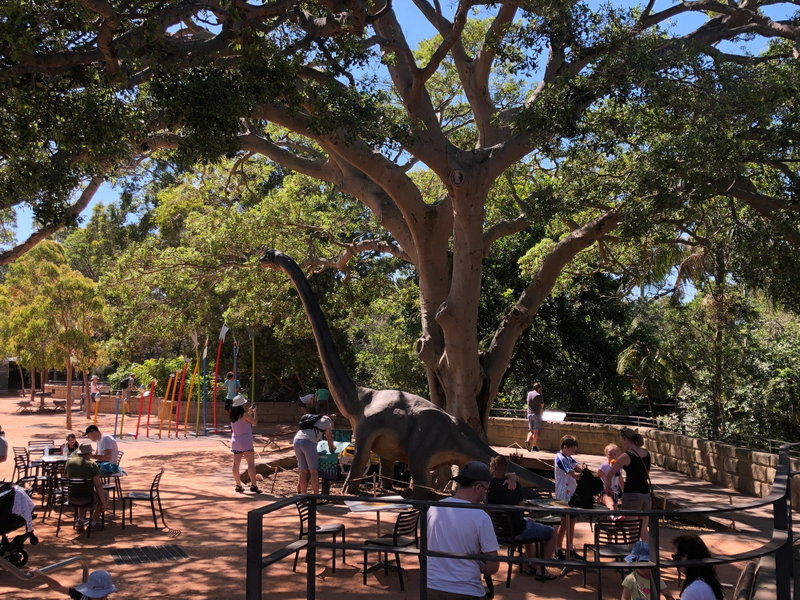 Taronga Zoo-Echo Ravenwood