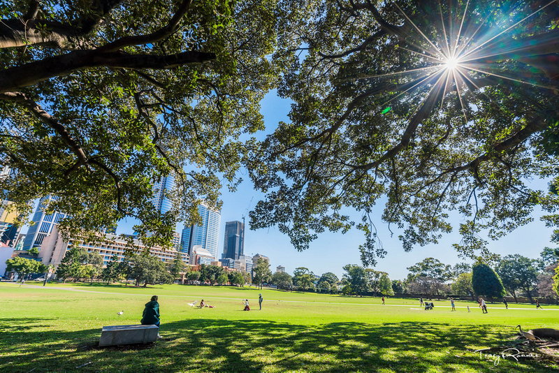 Royal Botanic Garden-Caleb Robinson