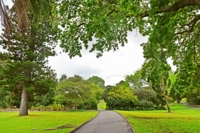 Royal Botanic Garden-Ian Mitchell