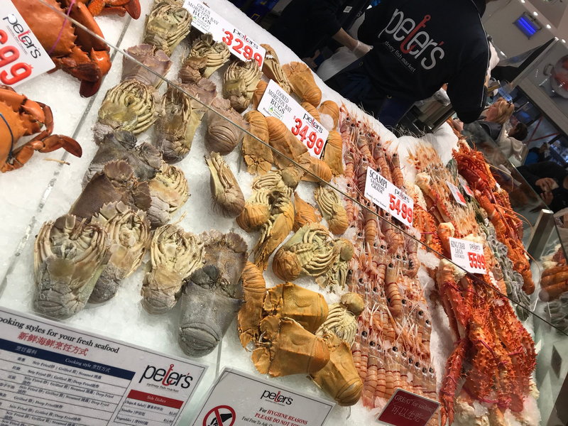 Sydney Fish Market-Madison Morris