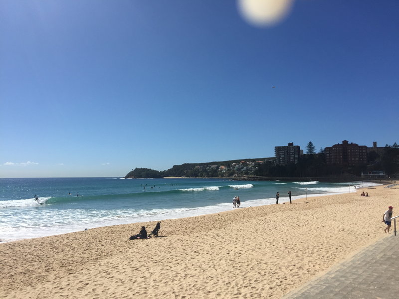 Manly Beach-Scarlett Silverstein