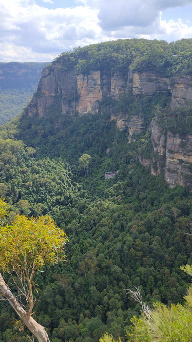Blue Mountains-Emma Green