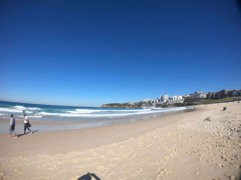 Bondi Beach-Jack Porter