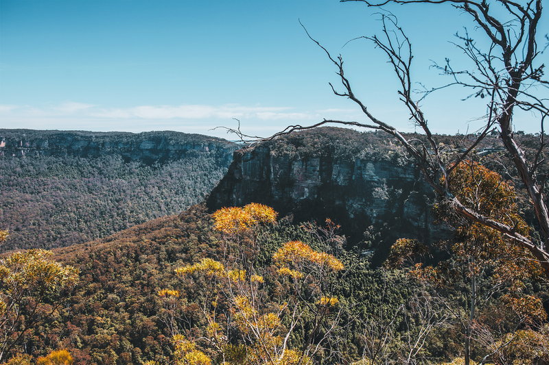 Blue Mountains-Isabella Reed