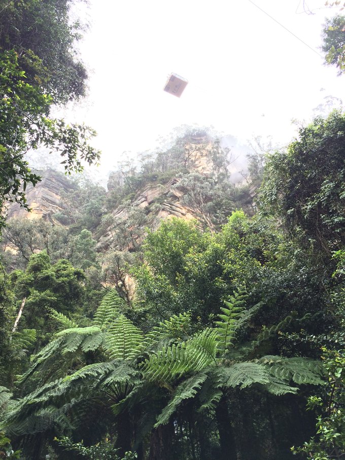 Blue Mountains-Emma Bailey
