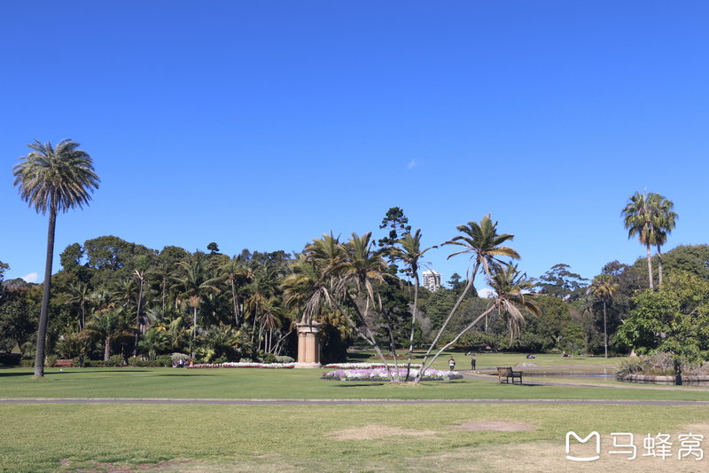 Royal Botanic Garden-Oscar Brooks