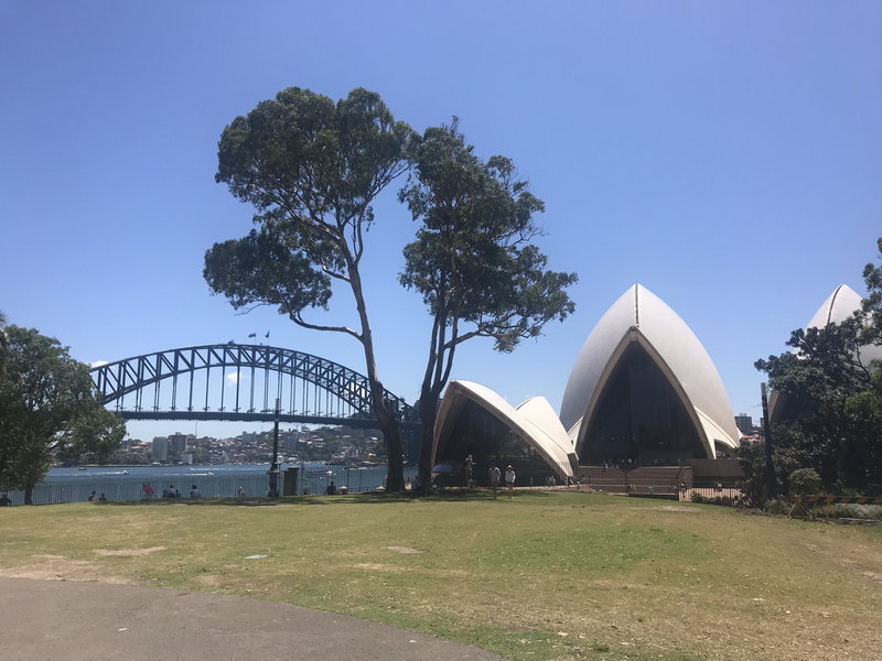 Royal Botanic Garden-Scarlett Hayes