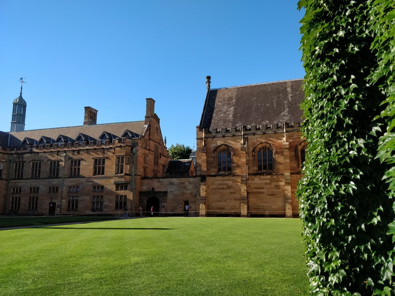 Sydney Uni-Ivy Brightfall