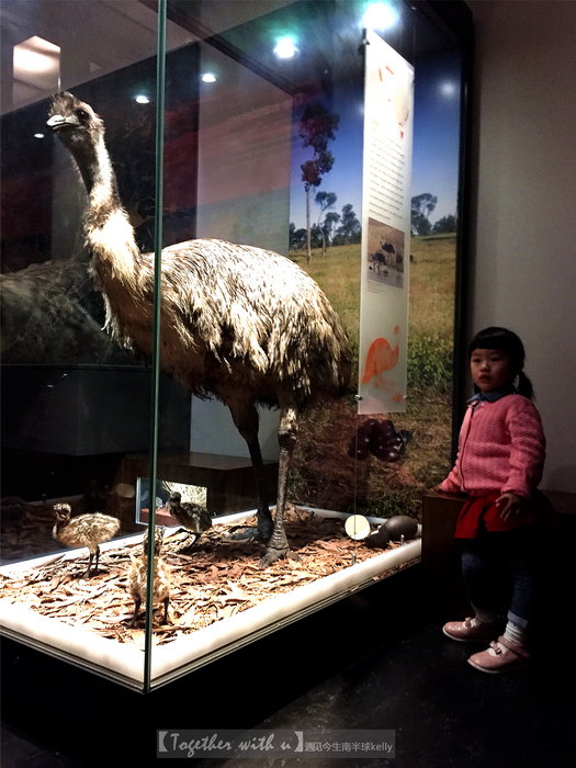 Australian Museum-Caleb Duncan