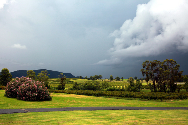 Hunter Valley-Eden Fitzgerald