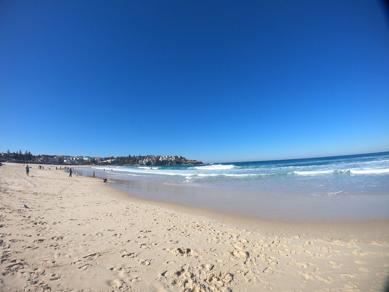 Bondi Beach-Jack Porter
