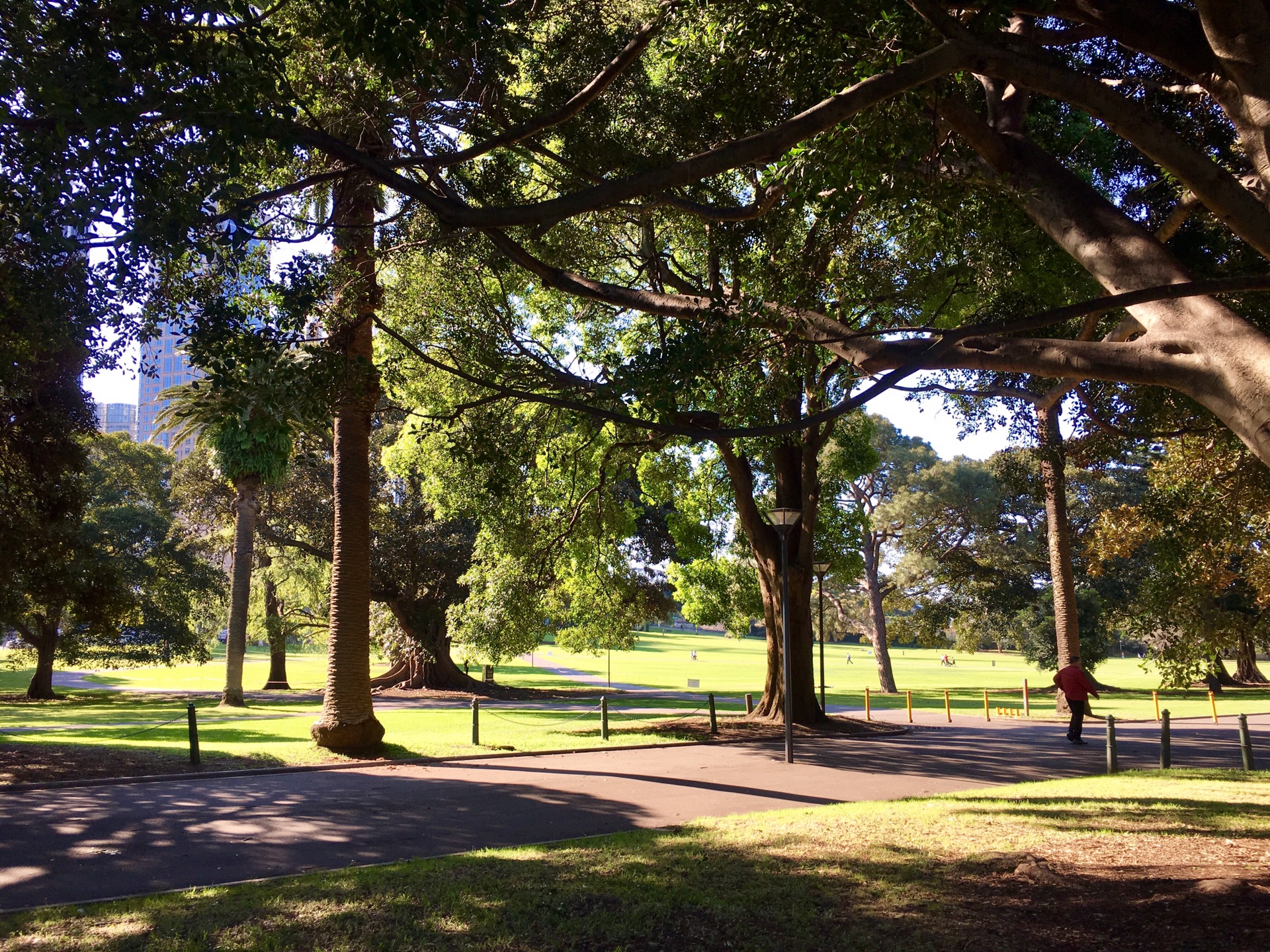Hyde Park-Benjamin Cooper