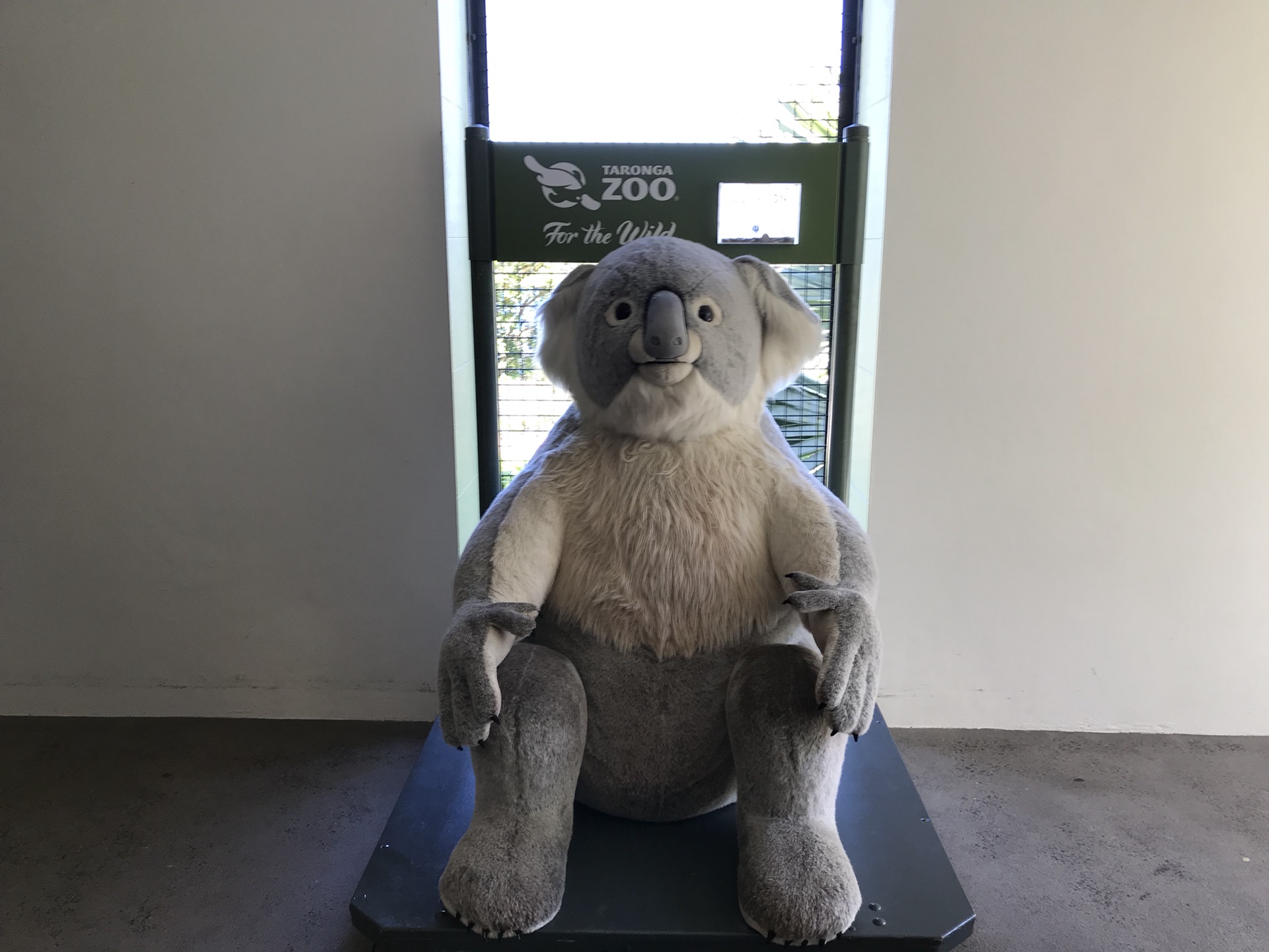 Taronga Zoo-Luna Stormhaven