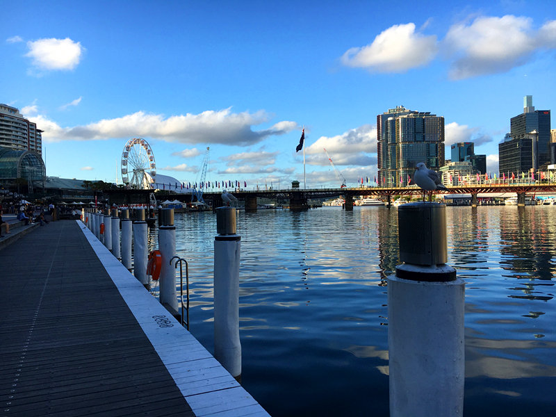 Darling Harbour-Emily Coleman