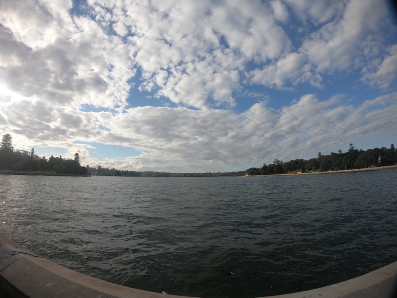 Royal Botanic Garden-Derek Cooper