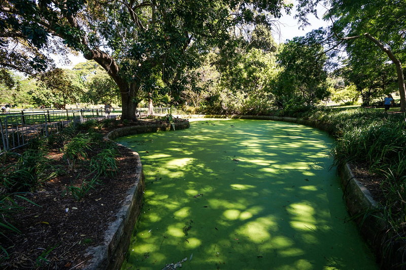 Royal Botanic Garden-Kai Peterson