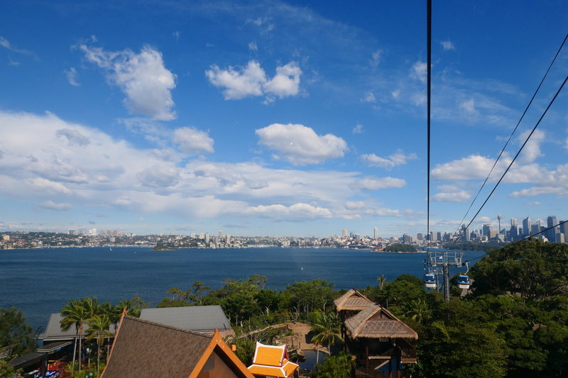 Taronga Zoo-Nova Ravenspire