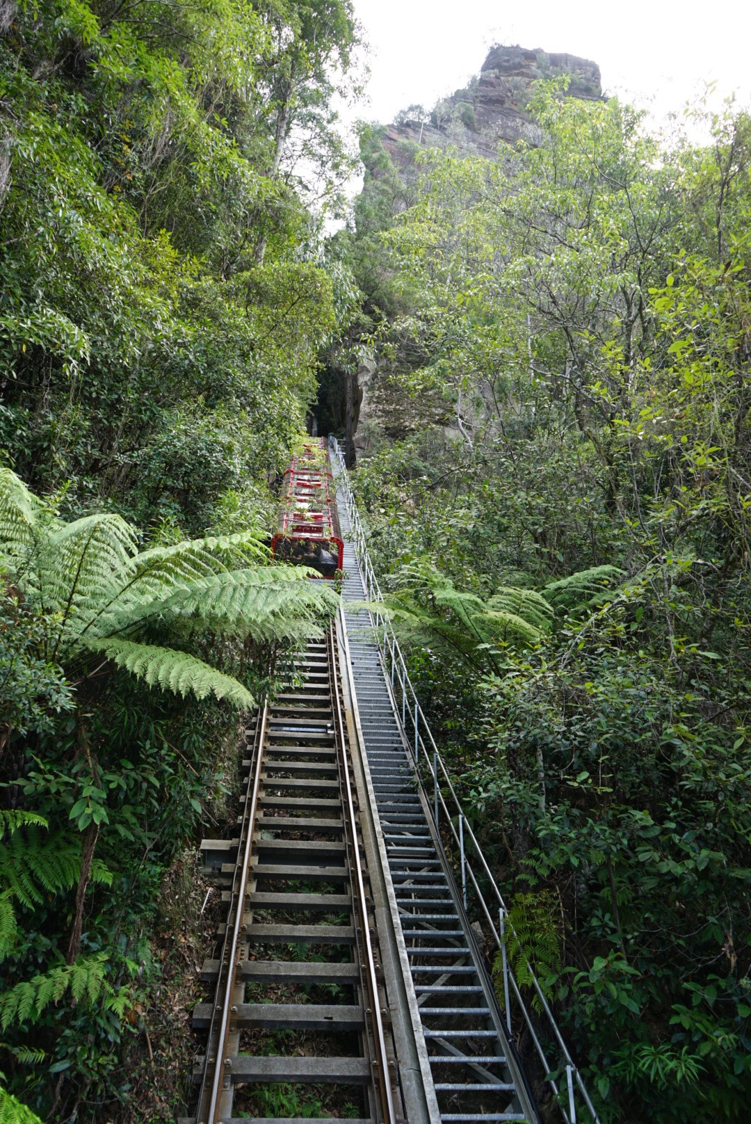 Blue Mountains-Emma Mills