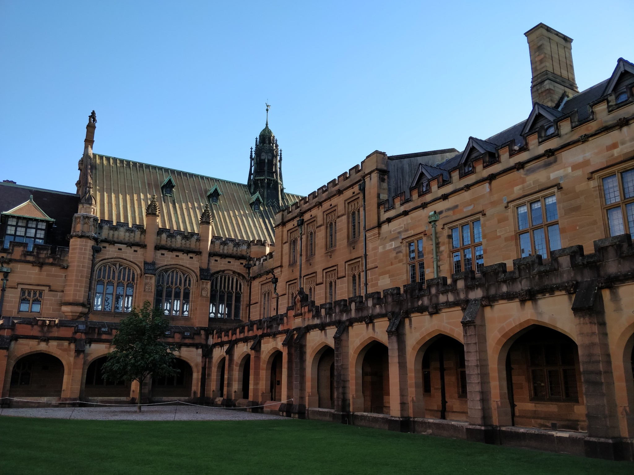 Sydney Uni-Ivy Brightfall