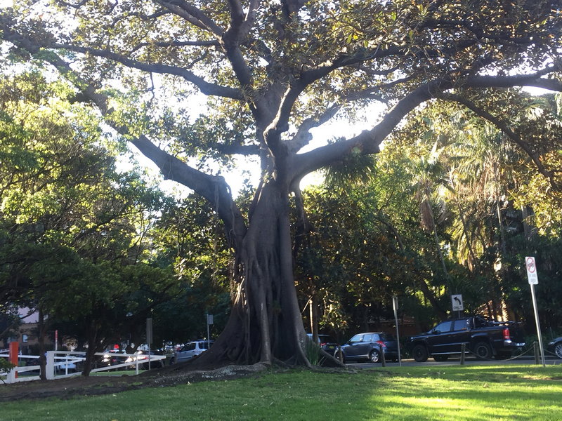 Hyde Park-Emma Griffin