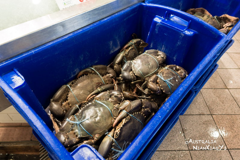 Sydney Fish Market-Rose Green