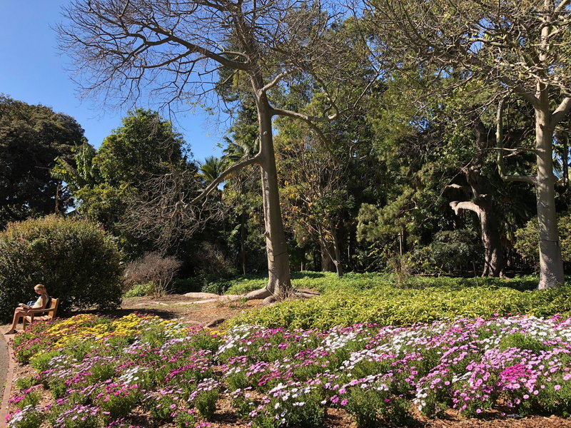Royal Botanic Garden-Alice Thompson