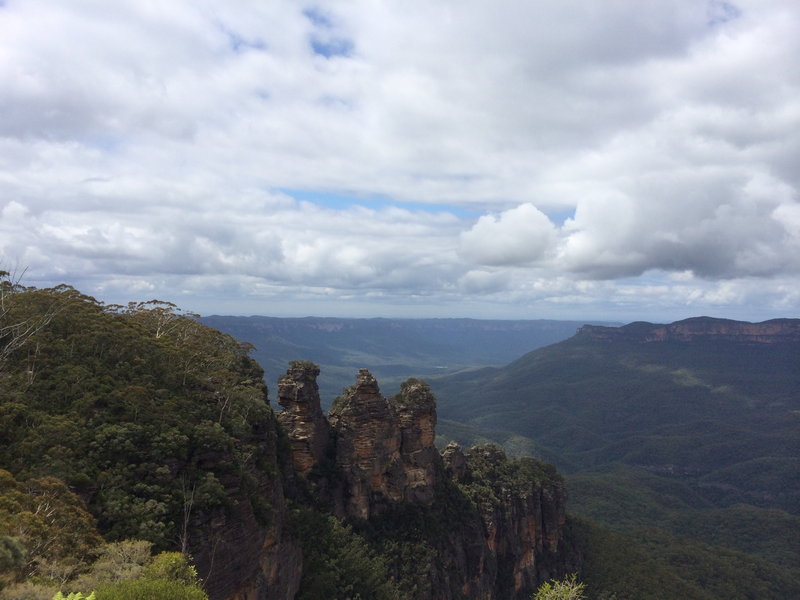 Blue Mountains-Daniel Reed