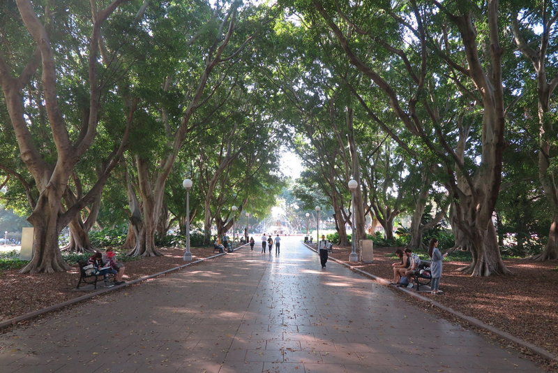 Hyde Park-Matthew Peterson
