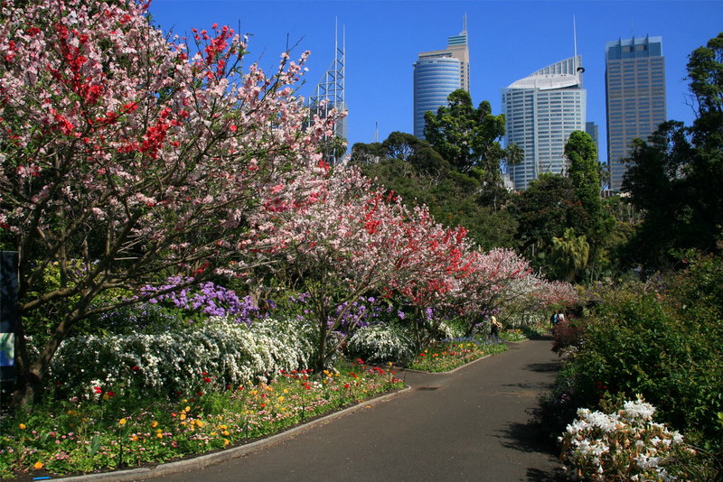 Royal Botanic Garden-Isabel Bailey