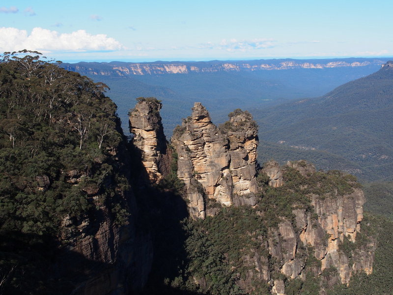 Blue Mountains-Sophia Green